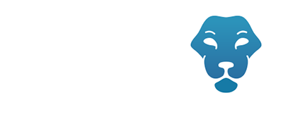 LEO Logo