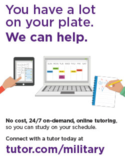 You Have a Lot on Your Plate - pdf cover