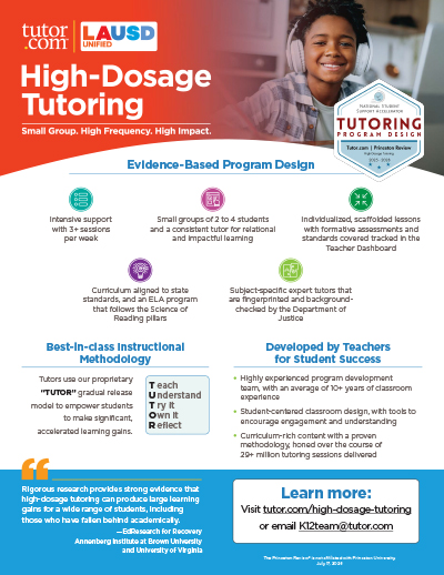 Thumbnail for An overview of high-dosage tutoring