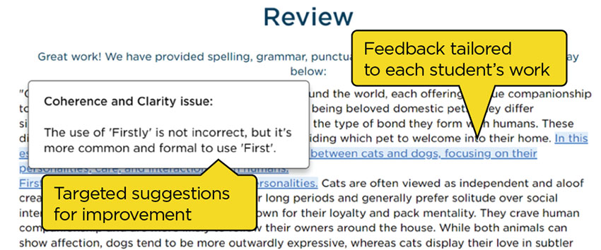 AI essay review screenshot